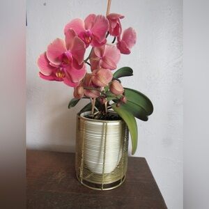 Gold Metal Plant Pot Holder